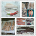Tipos de filetes de pescado